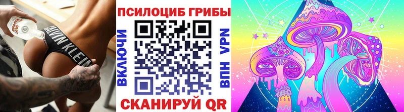 Псилоцибиновые грибы Psilocybe  omg   Надым  продажа наркотиков 